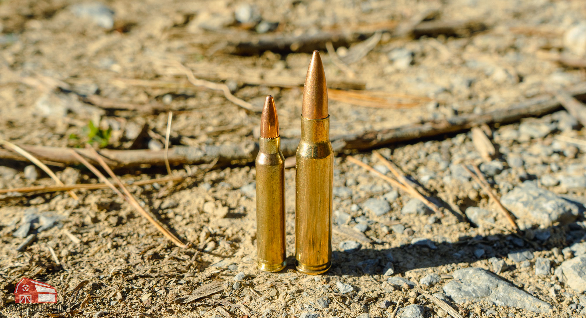 223 vs 308 - Two Sides Of The Same Coin - AmmoMan School of Guns Blog