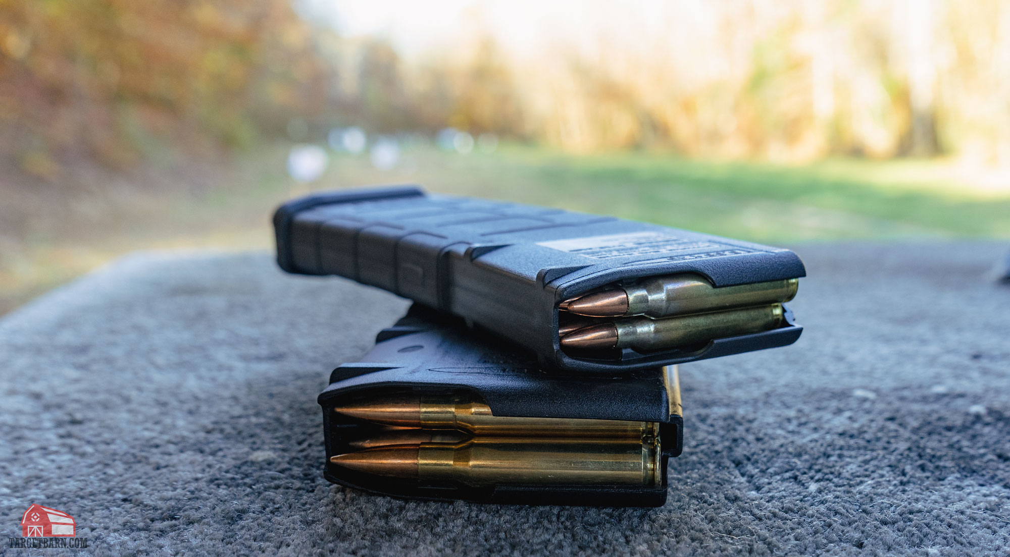 .223 vs. .308 Caliber Comparison