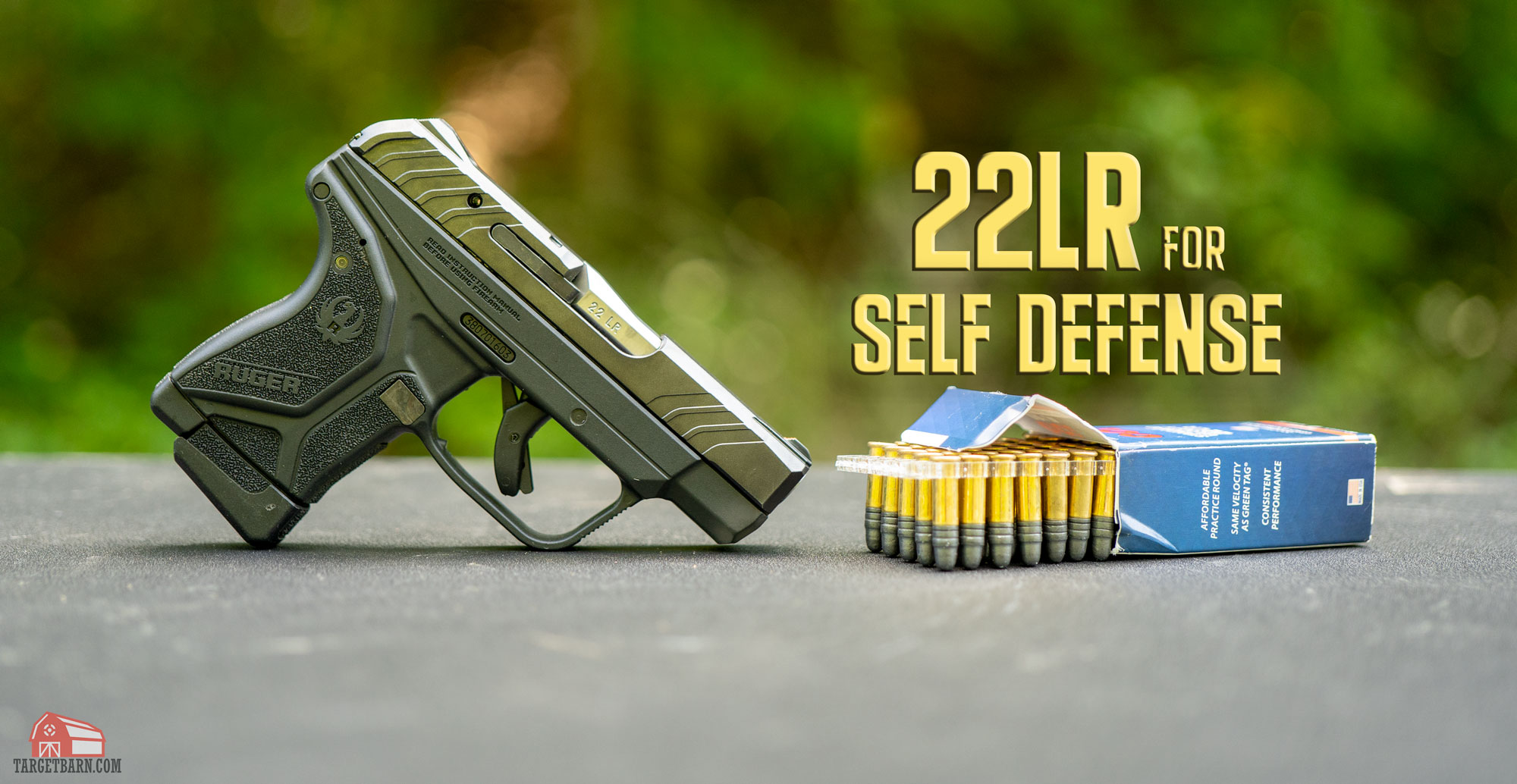 Are 22S Powerful Enough for Effective Self Defense?