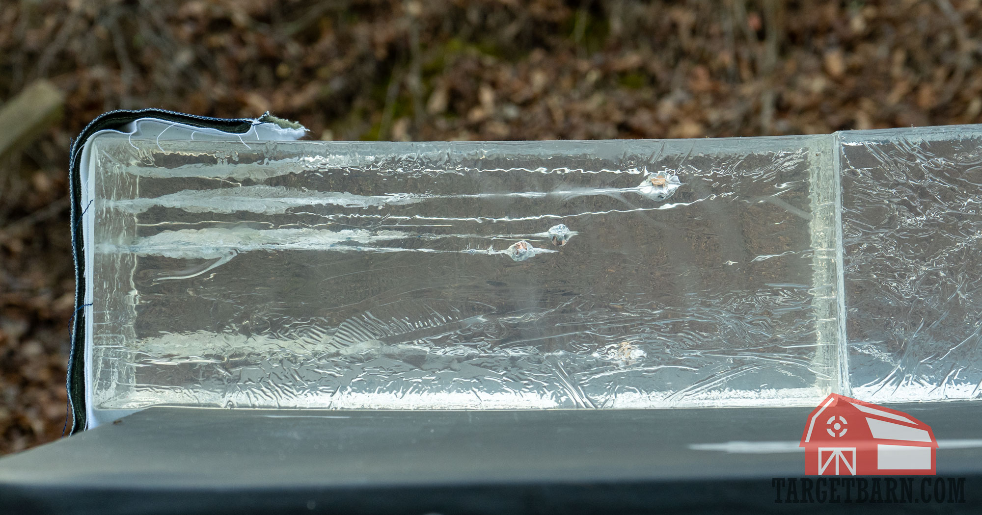 380 acp rounds in ballistic gel