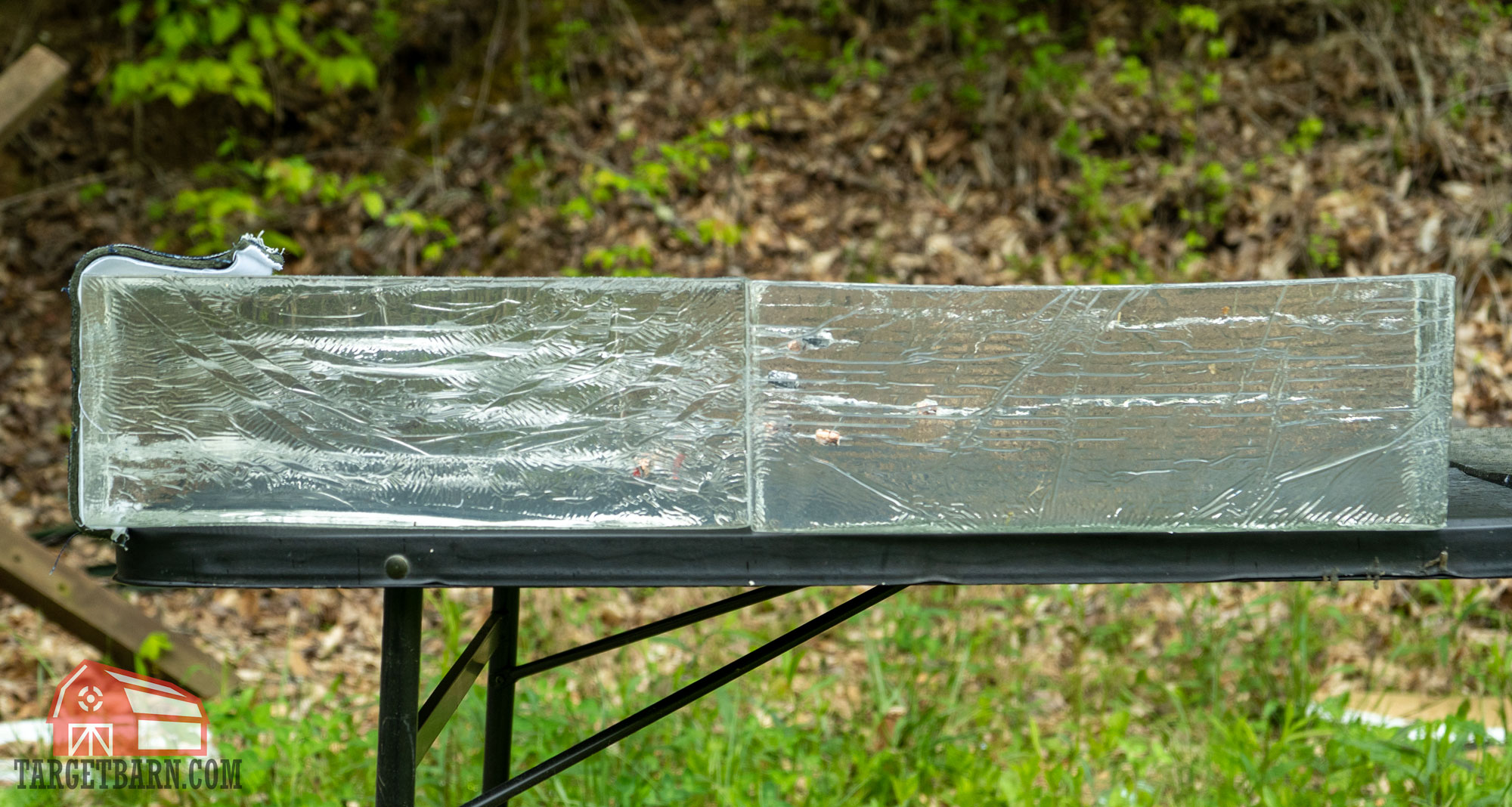 .38 special ammo in ballistic gel