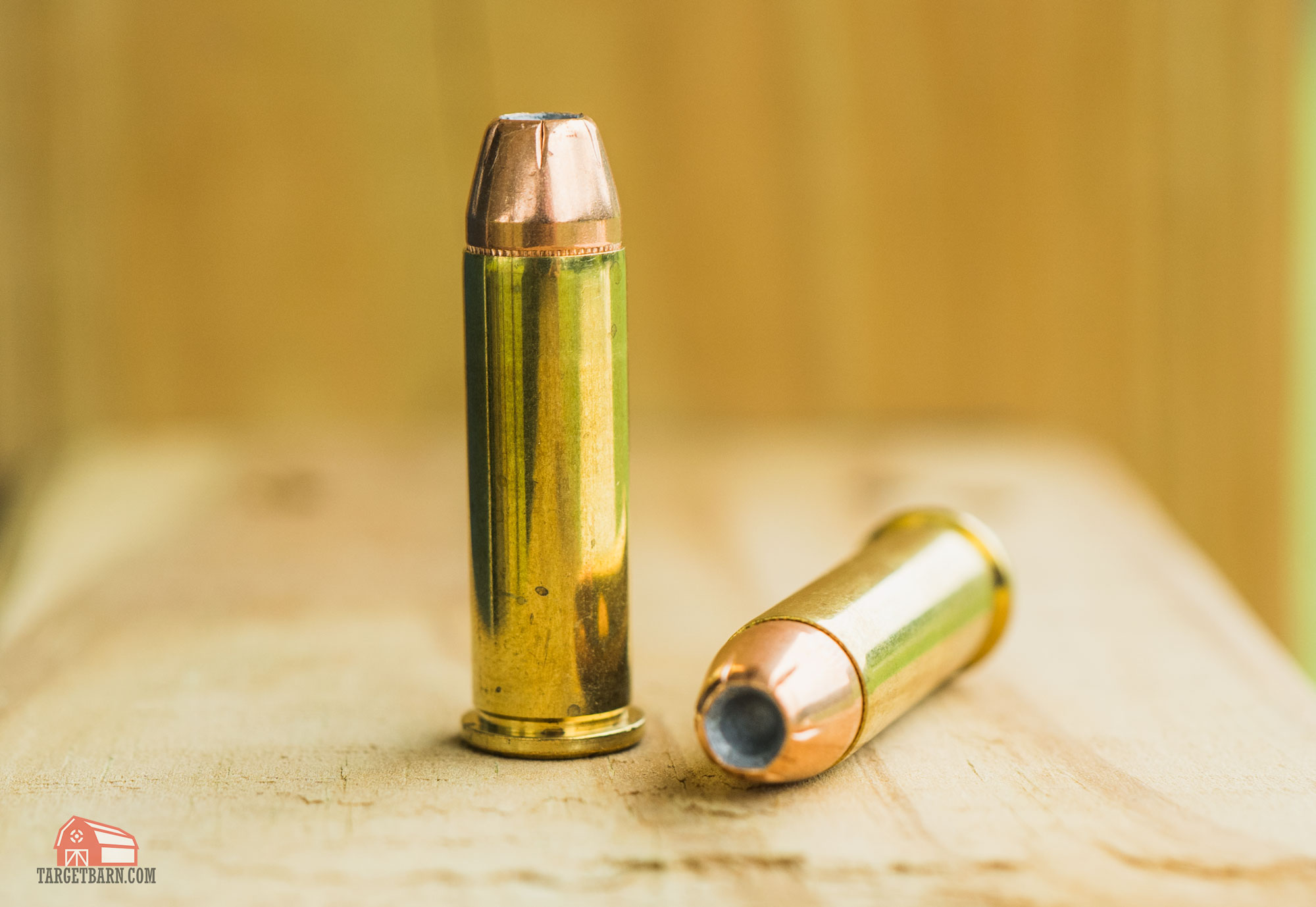 .38 special ammo