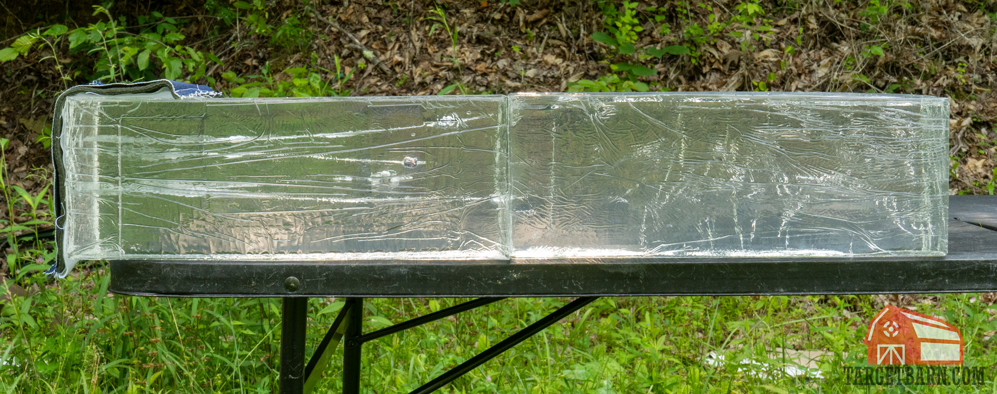 four rounds of .38 special in ballistic gel