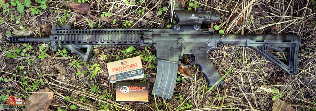 an ar15 that shoots both 223 and 5.56 ammo