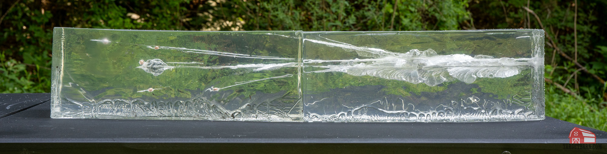 federal flite control and remington slugger rifled slug shot into ballistic gel