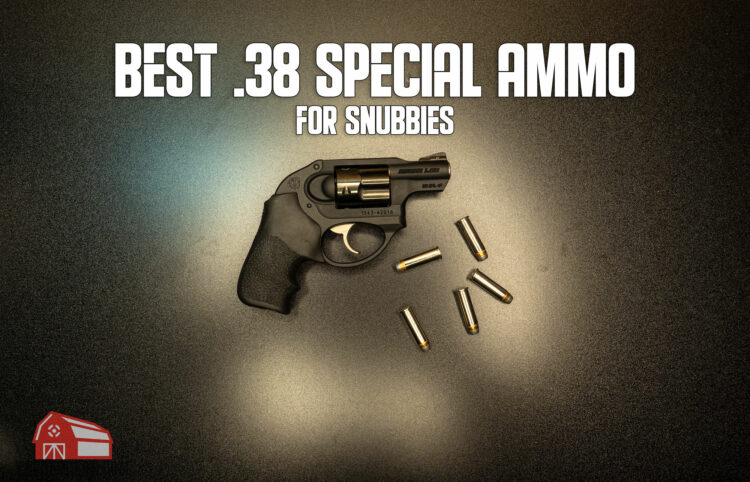 best .38 special ammo for snubbies hero image