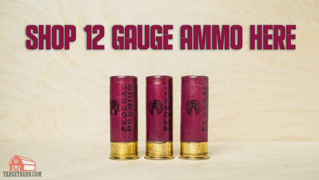 Buckshot vs. Slug Best Shotgun Shells for Home Defense