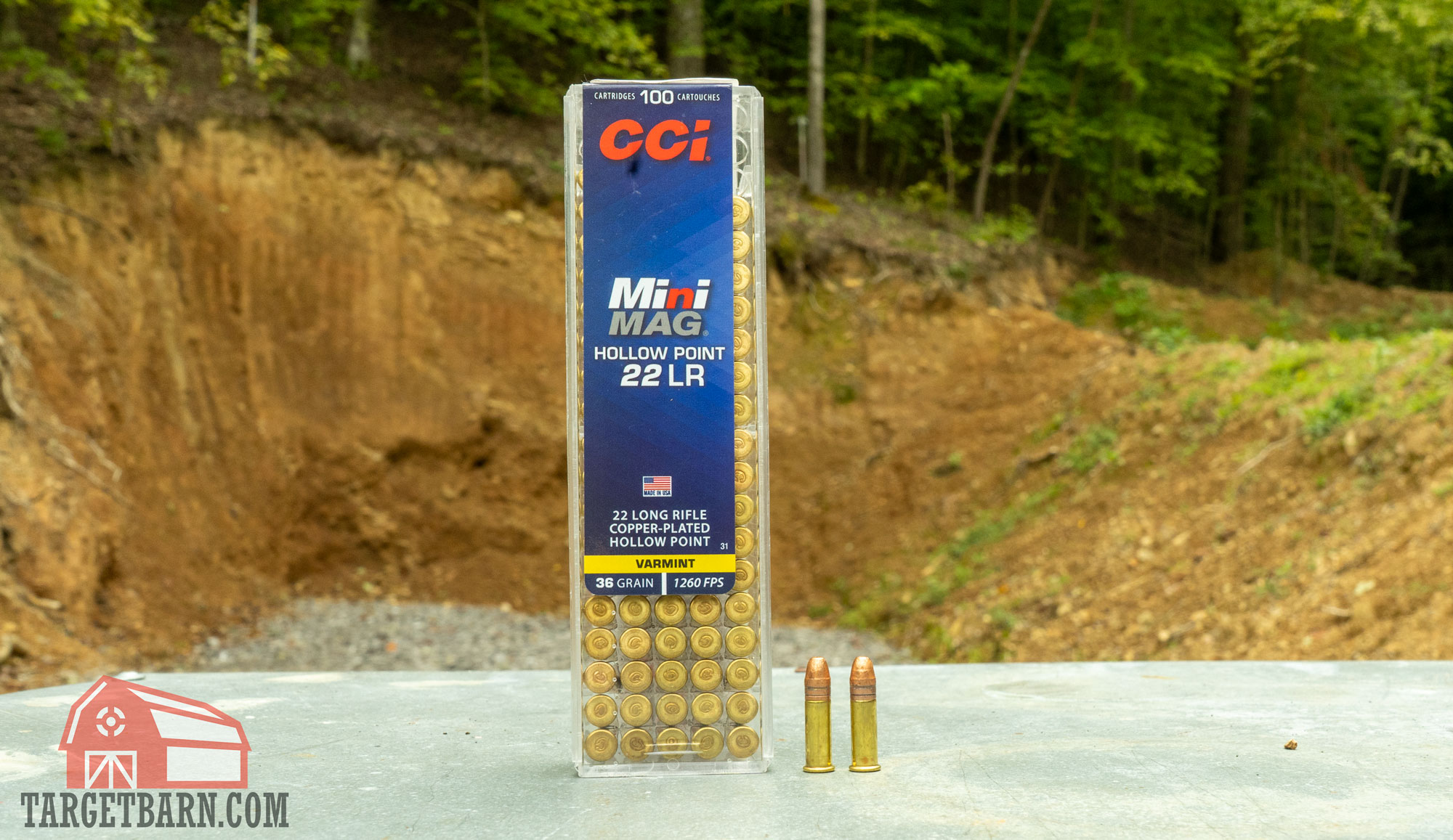 cci minimag showing a box and two rounds of cci mini mag 22lr at the range as one of the best .22lr ammo for pistols