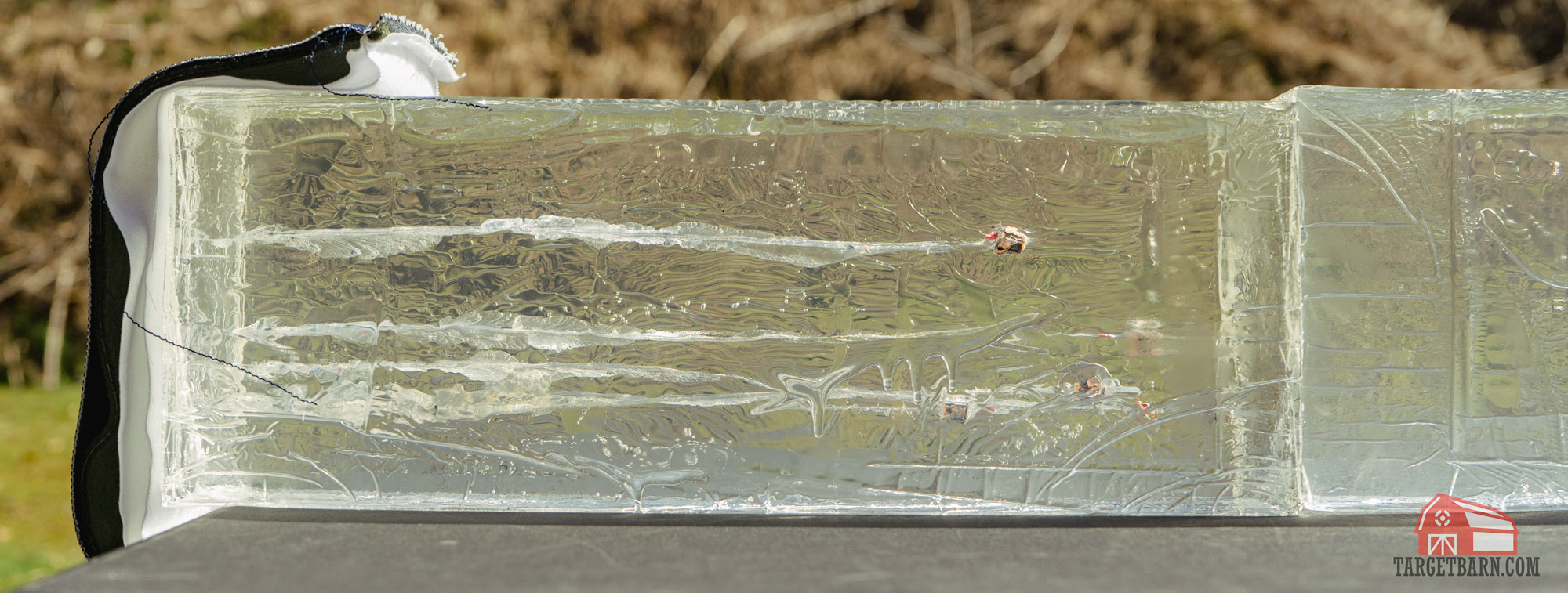 5 rounds of hornady critical defense .38 special +p 110gr ftx in a ballistic gel block
