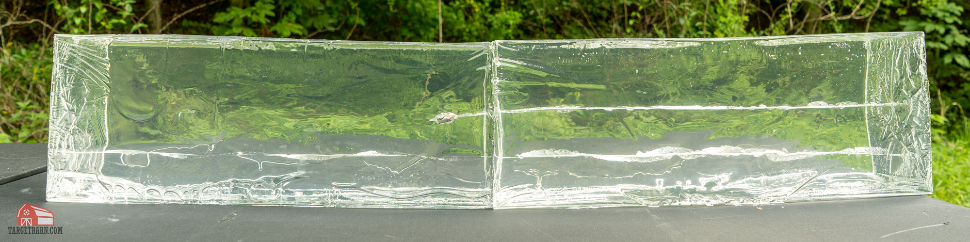 a .38sp frangible self defense bullet vs. a 9mm frangible training round in ballistic gel