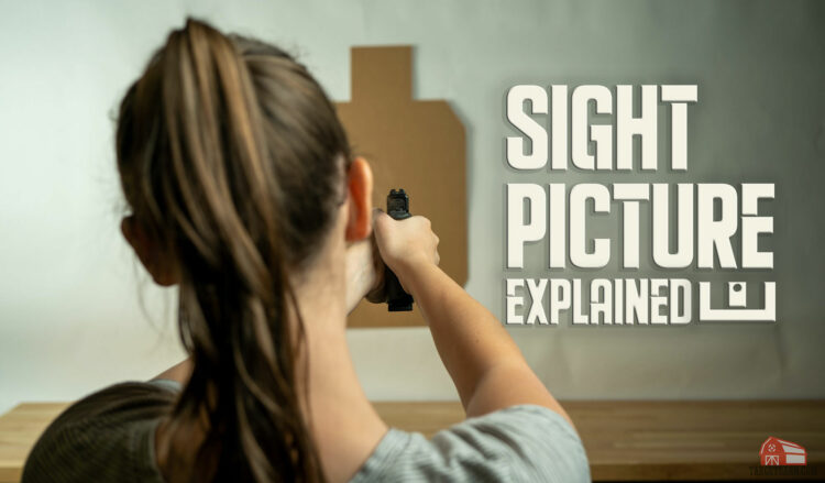 sight picture hero image