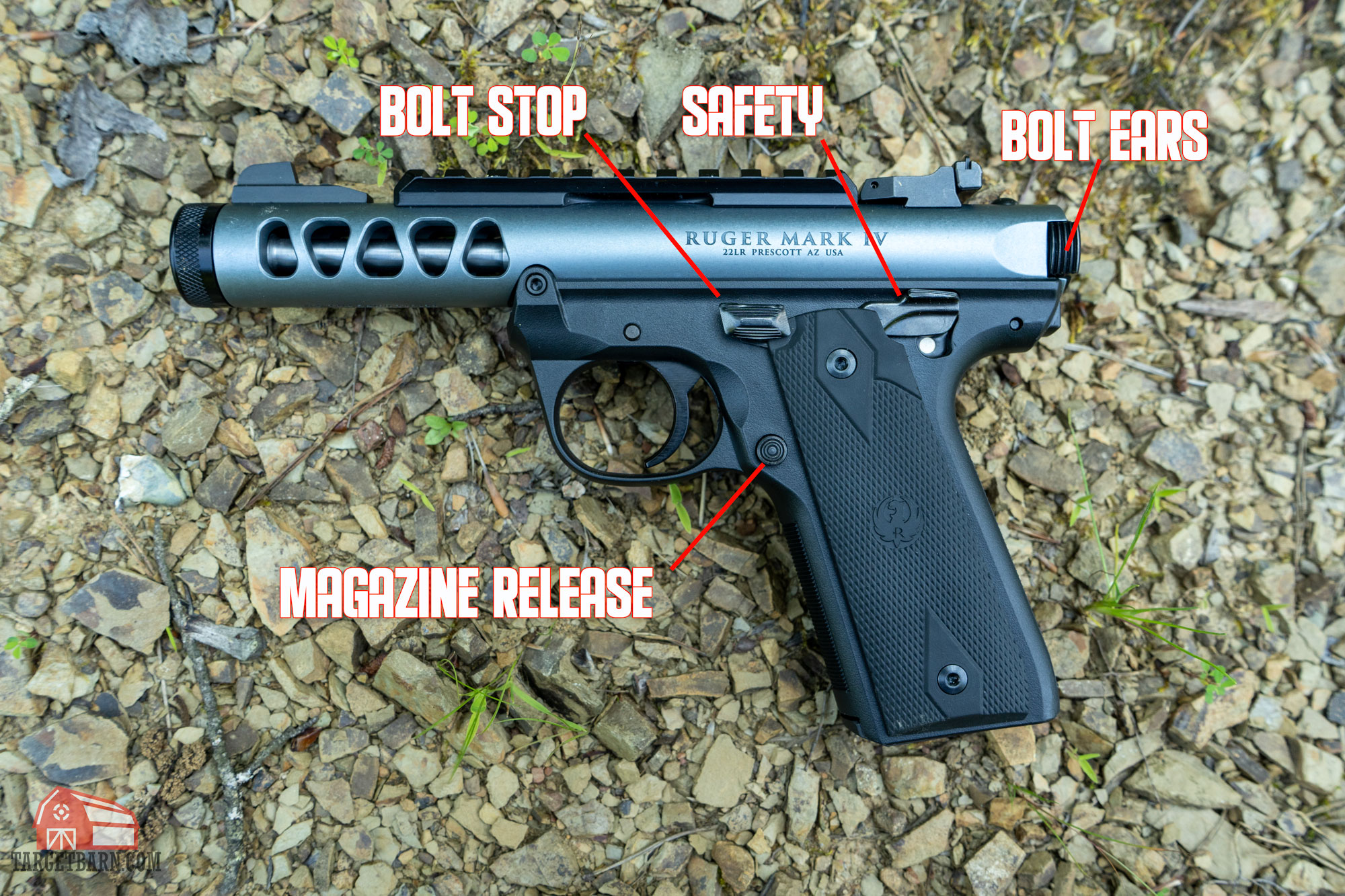 a mark iv lite with the bolt stop, safety, bolt ears, and magazine release controls labeled