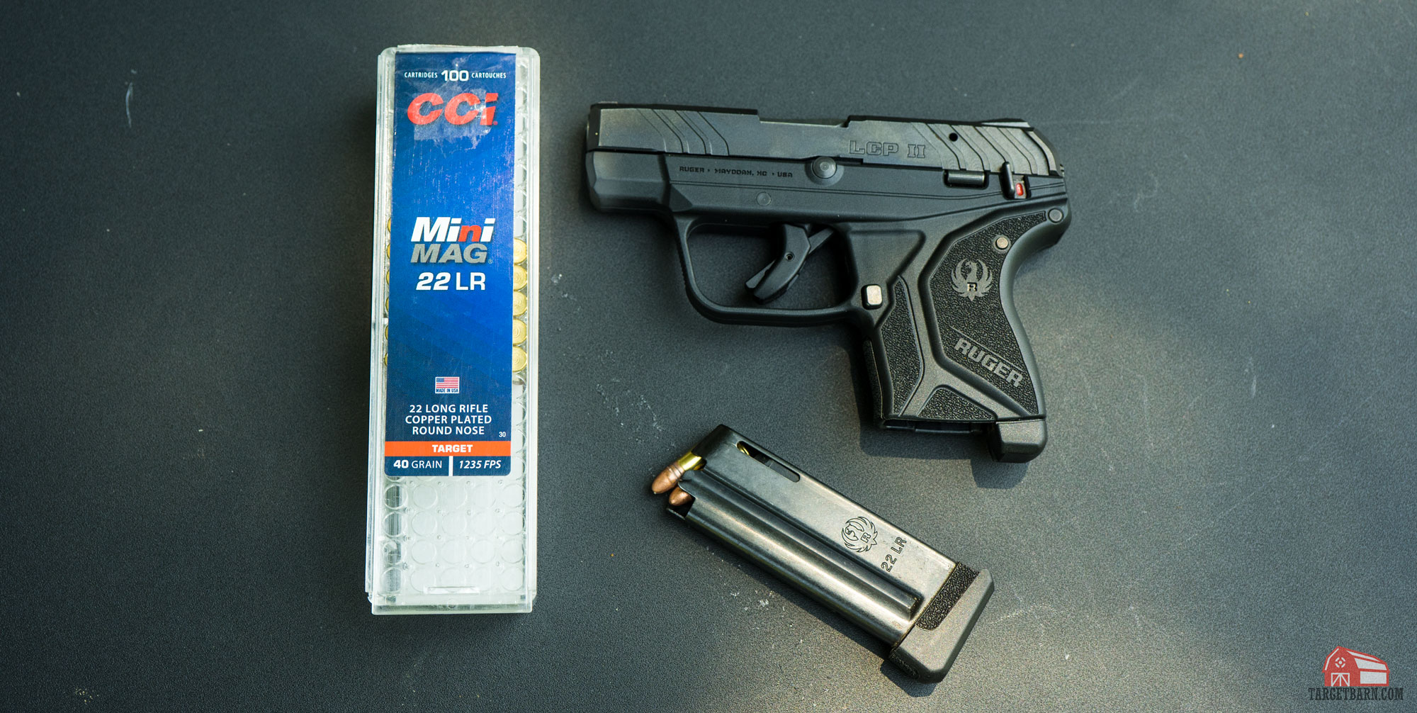 the cci 22lr mini mag is underpowered for use as a self defense round