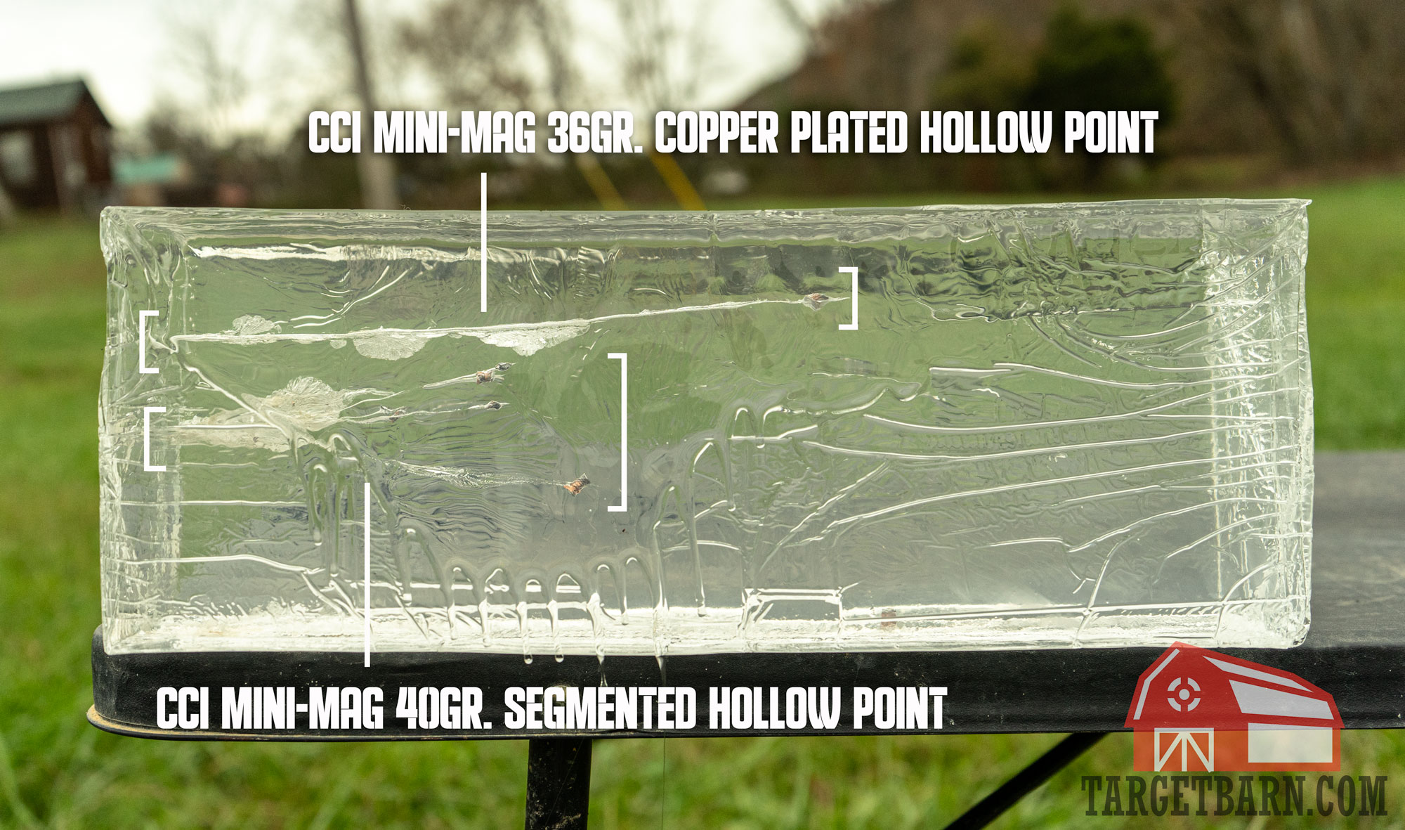 mini-mag ballistic test a ballistic gel block after being shot with the varmint mini-mag rounds for the cci mini-mag review