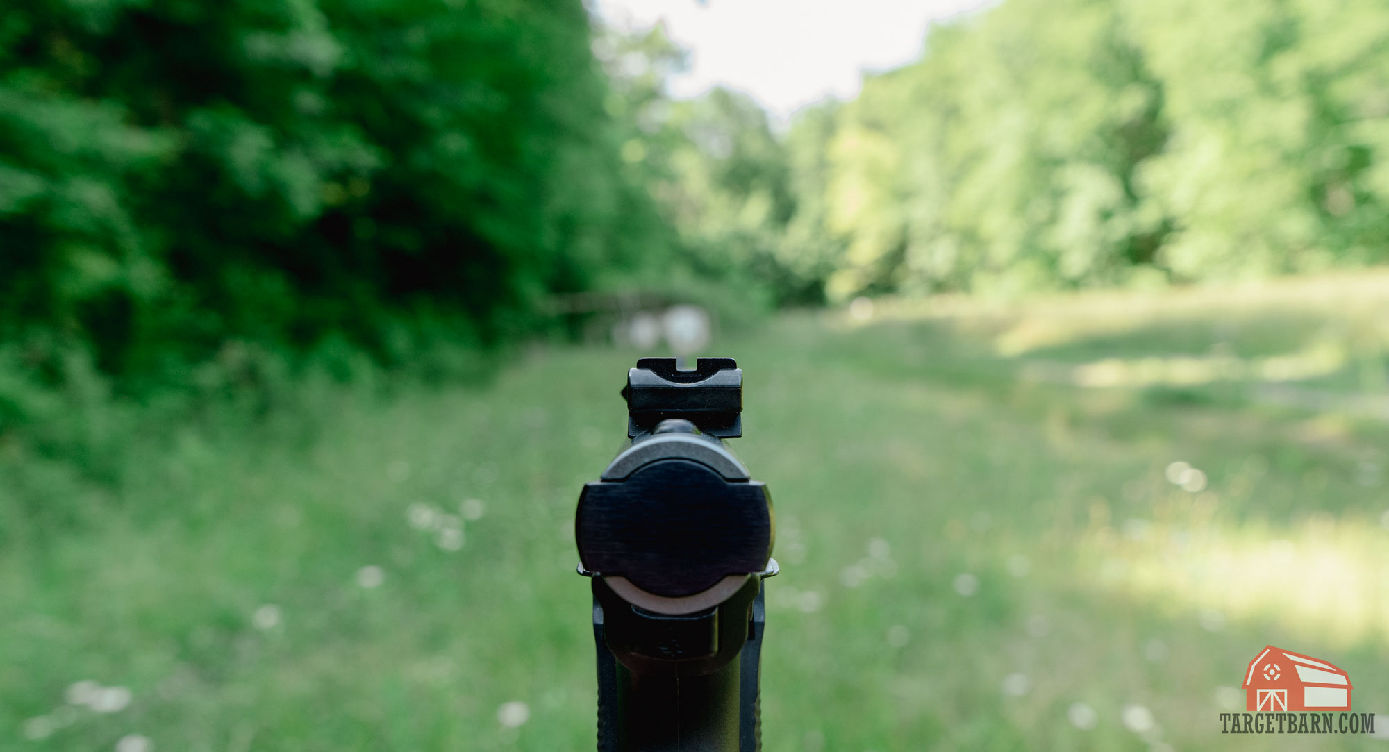 showing the ruger mark iv 22/45 lite rear sights at the range