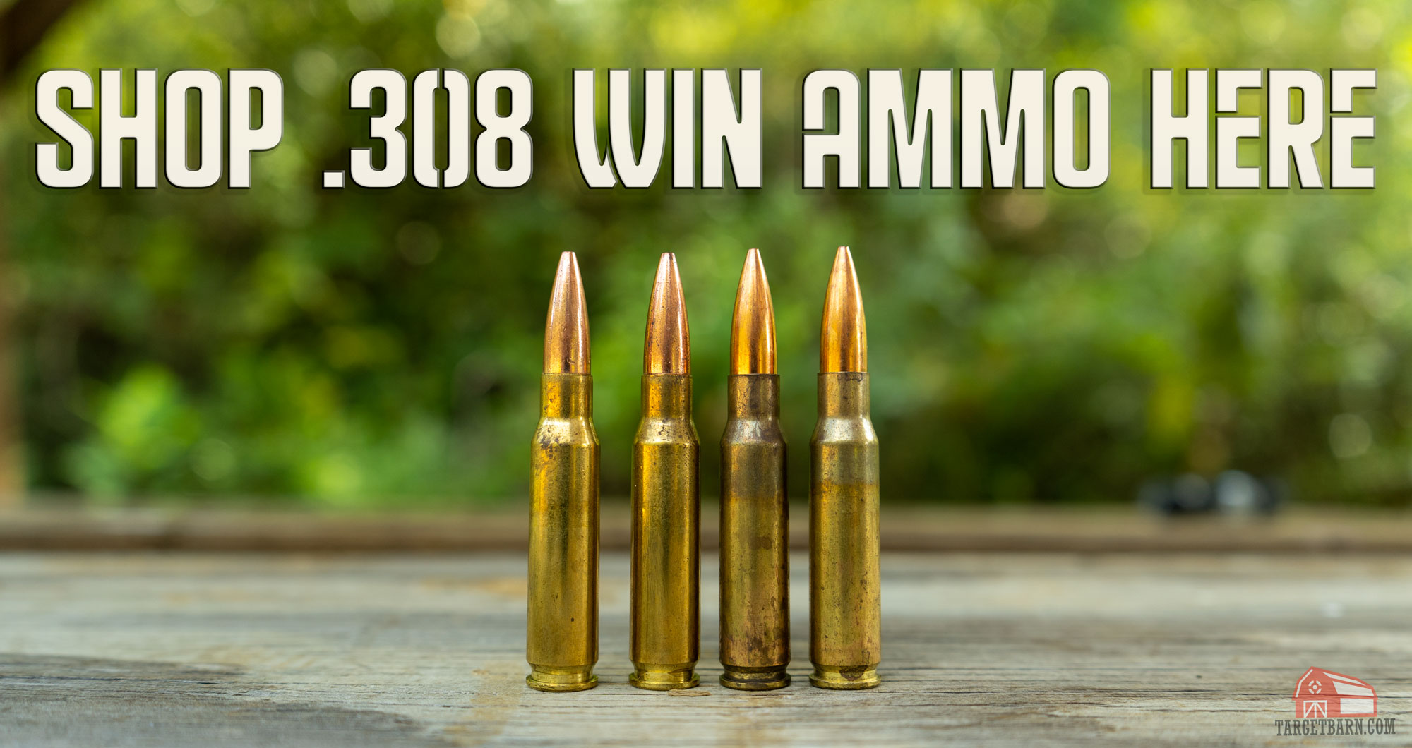 shop 308 win ammo here