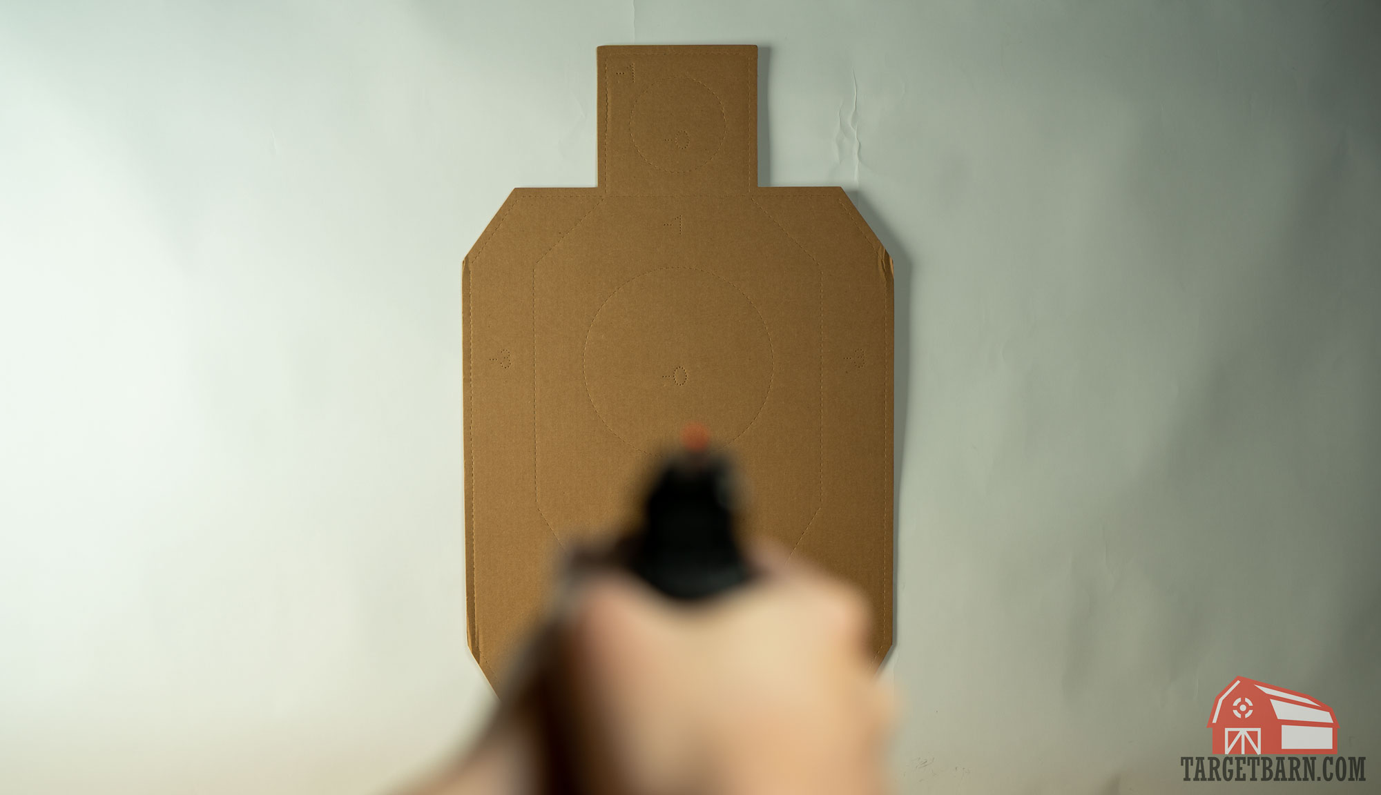 the target remains in focus and the sights are blurry with a soft focus