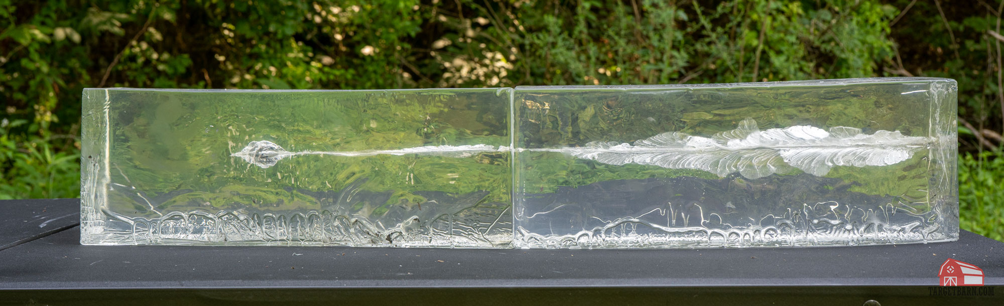a shotgun slug shot through ballistic gel to show tissue disruption