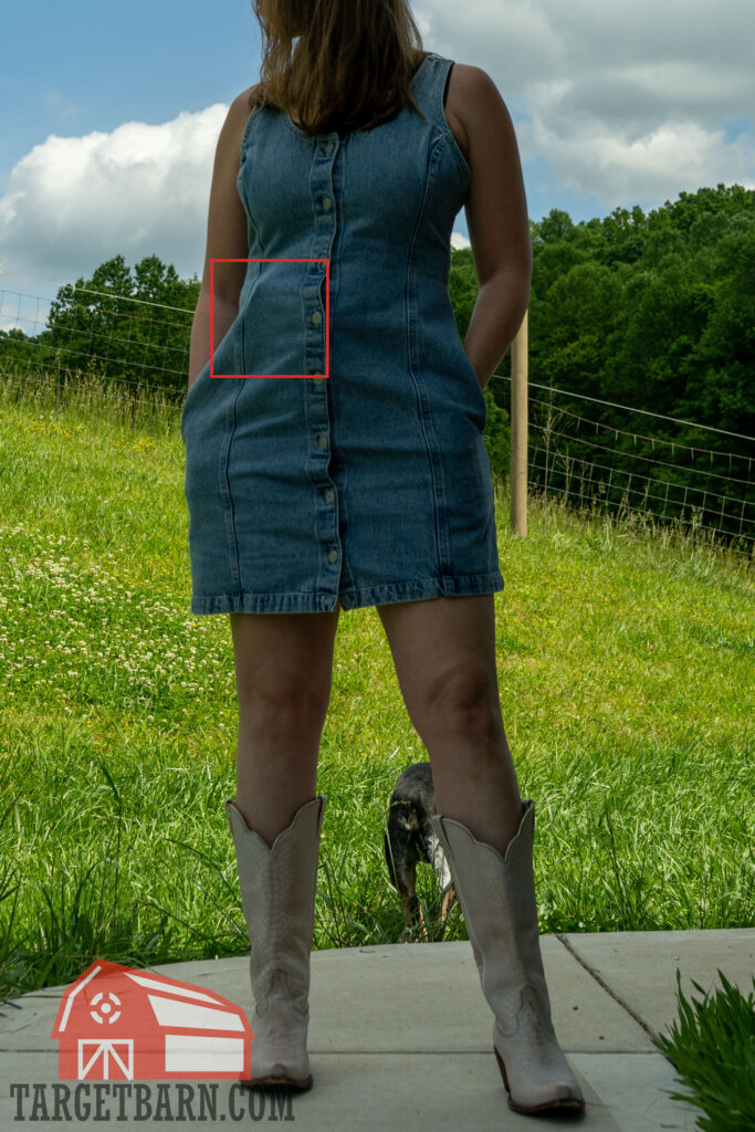 dress concealed carry concealing a gun with the vnsh holster in a dress