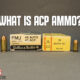 what is acp ammo